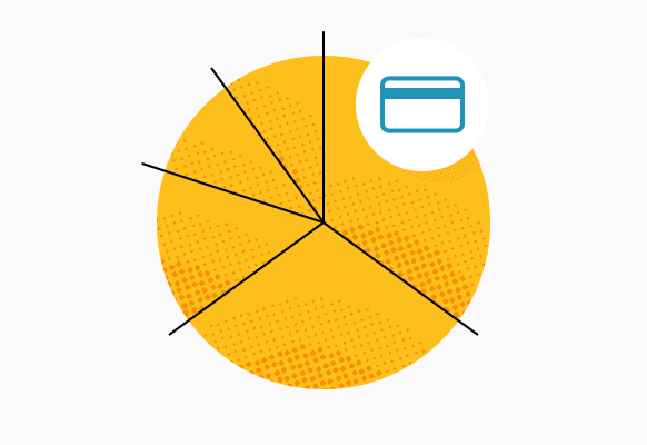 credit card with pie chart